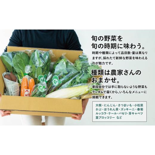 ふるさと納税 鹿児島県 南さつま市 福元農園 旬のお野菜 おまかせセット 1箱（5〜8品目） 野菜 詰め合わせ 数量限定 鹿児島 南さつま…