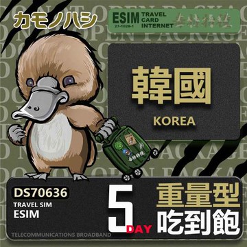 【鴨嘴獸 旅遊網卡】韓國eSIM 5日 重量型 吃到飽 網卡 韓國上網卡 免換卡 高流量上網卡