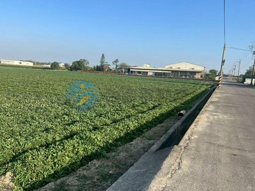 新化竹子腳四分地臨路8米特農(0057653｜台南市新化區竹子腳