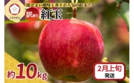  りんご 10kg 紅玉 アップルパイ に最適 青森 不揃い