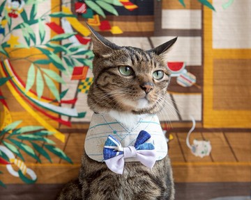 【浴衣・ゆかた】寵物領巾 圍兜 貓咪/狗狗 夏日 祭典 - 花火