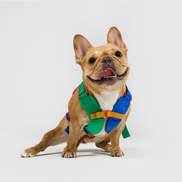 SPUTNIK 10TH YEAR 胸背帶-拼色