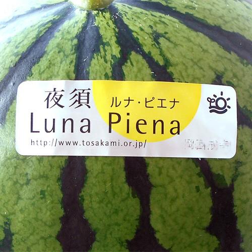 すいか ルナ・ピエナ 高級すいか 高知県夜須町産 約2kg 糖度検査済 送料無料 土佐の高級すいか  ギフト プレゼント 西瓜 スイカ お歳暮