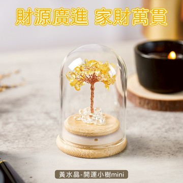 [快速出貨]【GOODTIME】  黃水晶開運招財水晶樹mini  水晶擺飾 小禮物 淨化能量 交換禮物 辦公室小物 免費刻字