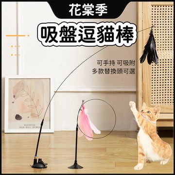 逗貓棒 強力吸盤 伸縮逗貓棒 吸盤逗貓棒 多款替換頭可選 羽毛逗貓棒 長桿逗貓棒 可吸附可手持 DIY逗貓棒
