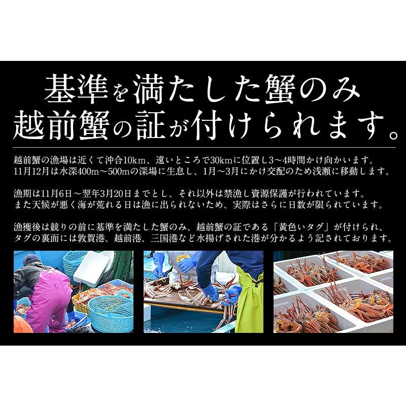 越前産ズワイガニ 甲羅盛り 中サイズ×1個（甲羅横幅 約11cm）越前産 ずわい蟹 ずわい甲羅盛り 冬グルメ 冬ギフト