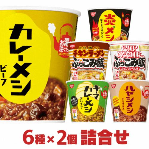 カレーメシ ぶっこみメシ６種類×２個 合計12個 詰め合わせセット 日清食品