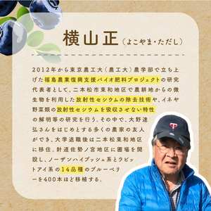 東京農工大学名誉教授「横山　正」ブランドのブルーベリー冷凍果実4パックセット（品種おまかせ）