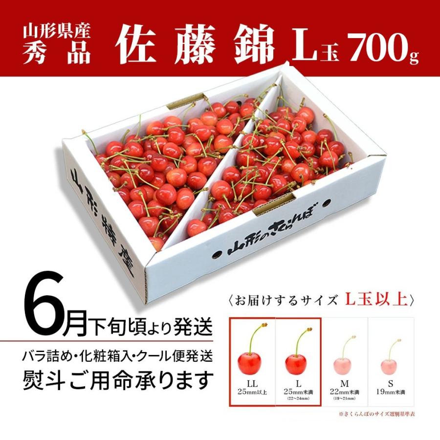 さくらんぼ 佐藤錦 Ｌ玉以上 ７００ｇ バラ詰め 山形 秀品 2024 山形県産 サクランボ 取り寄せ 化粧箱入 送料無料 (遠方送料加算)