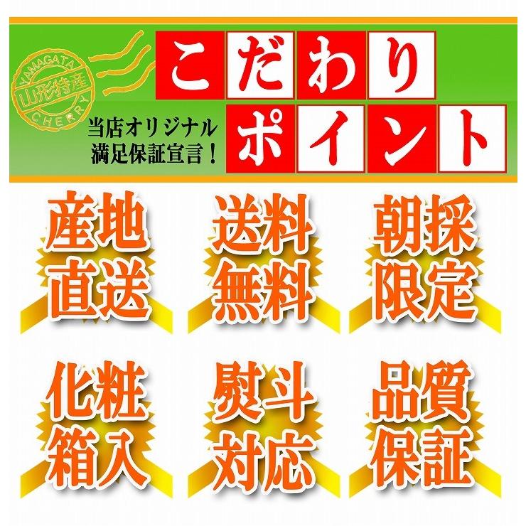 さくらんぼ 佐藤錦 L玉 1kg(500g×2) 鏡詰め 山形 特秀 2024 山形県産 サクランボ 贈答用 化粧箱入 送料無料 (遠方送料加算) ギフト 贈り物