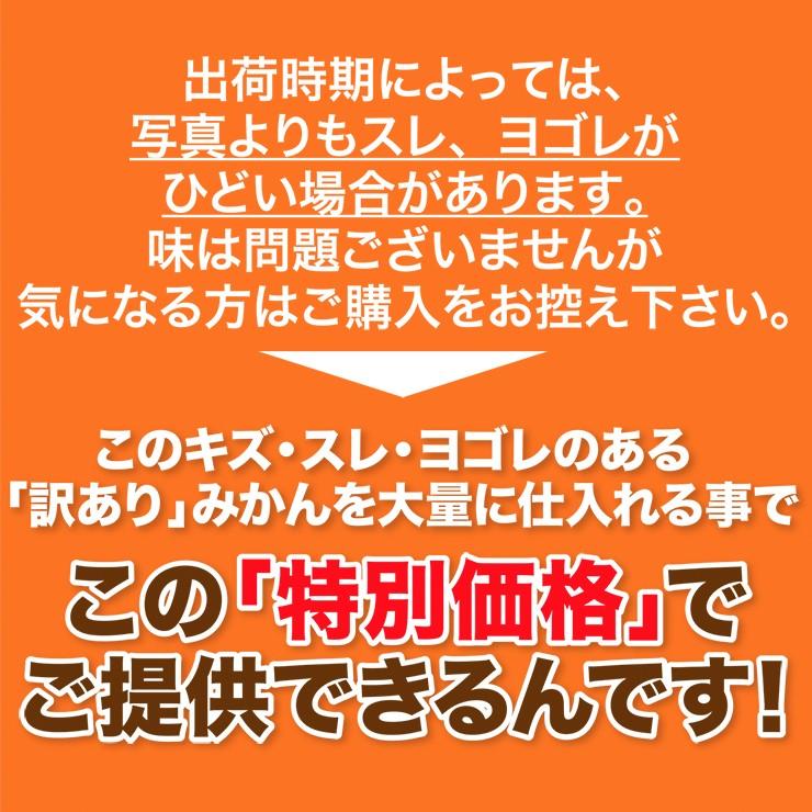 訳あり みかん 小粒 有田 こつぶみかん 蜜柑 ミカン 2.5kg  和歌山 産地直送 箱買い 自宅用 糖度　2.5キロ 和歌山県　小さめ 小さい 安い