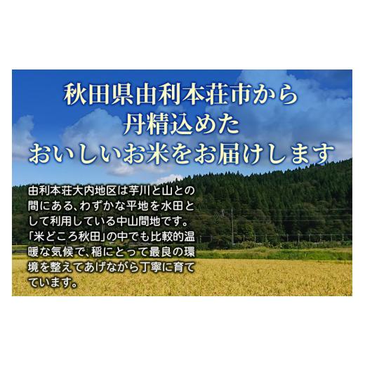 ふるさと納税 秋田県 由利本荘市  5年連続 特A ひとめぼれ 令和5年産 秋田県産 五平農園のひとめぼれ 10kg