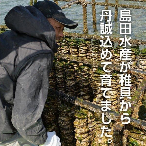 広島県産 島田水産 牡蠣詰め合せ むき身700g 殻付き10個