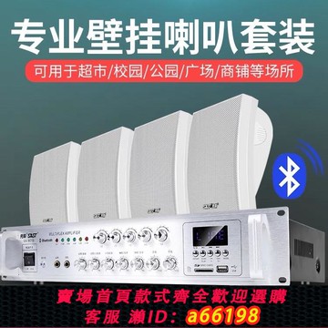 【台灣公司 可開發票】先科A3壁掛音響音箱店鋪室內無線藍牙店門店掛墻式重低音背景音樂