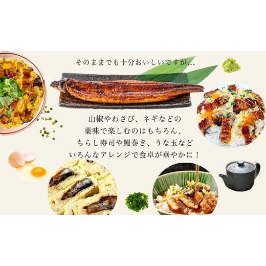 ふるさと納税 愛知県 西尾市 愛知県三河一色産うなぎ蒲焼き4尾 きざみうなぎ2食入り×2パック セット（長焼き4尾で500g き…