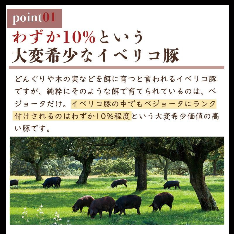 イベリコ豚 スペイン産 ベジョータ 肩ロース 300g 焼肉用 イベリコベジョータ ギフト 豚肉 御祝 合格祝い