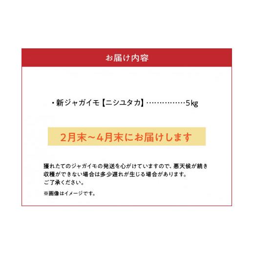 ふるさと納税 鹿児島県 知名町  沖永良部の赤土で育った新ジャガイモ ５キロ