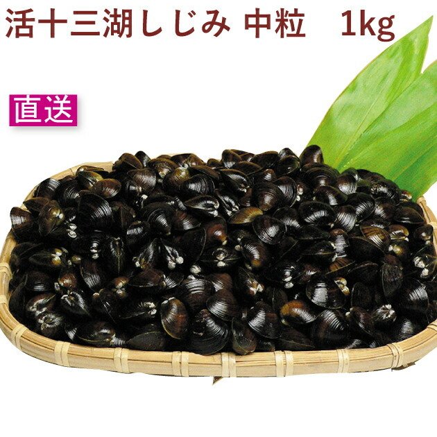 トーサム 活十三湖しじみ 中粒 1kg 送料込