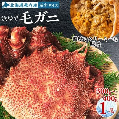 ふるさと納税 稚内市 浜ゆで毛ガニ 希少サイズ300g〜400g