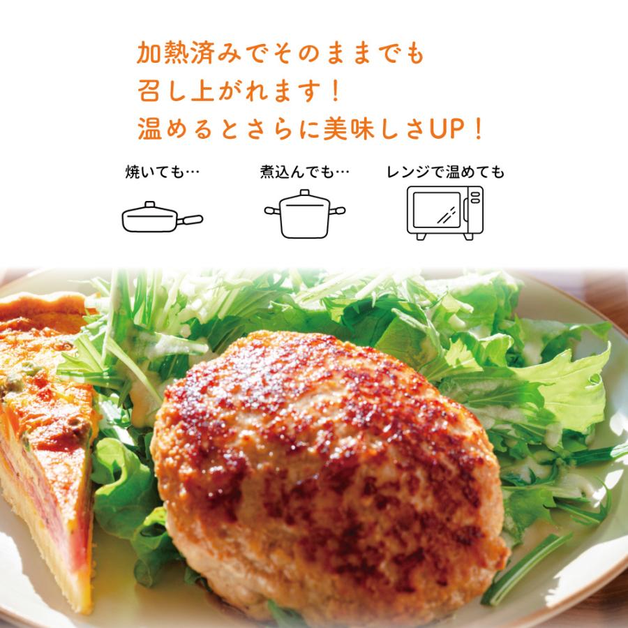 大豆ミート ヴィーガン こんにゃ〜グ スタンダード 3パック入 iiもの本舗 プレーンタイプ こんにゃくと大豆のヘルシーバーグ