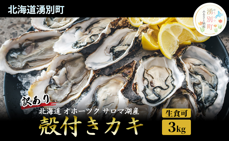 訳あり 北海道 オホーツク サロマ湖産 殻付きカキ 生食可 3kg 牡蠣職人厳選