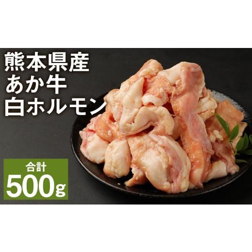 ふるさと納税 熊本県 菊池市 熊本県産 あか牛 白ホルモン(小腸) 希少部位 500g(250g×2)