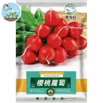 【原廠包裝】櫻桃蘿蔔種子（Cherry Radish）30天速收！免耕地盆栽可種 脆甜多汁 沙拉生食 新手必成功