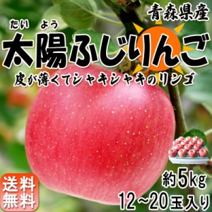 太陽ふじりんご 赤りんご 約5kg 12～20玉 青森県産 みずみずしいシャキッとした食感の青森リンゴ