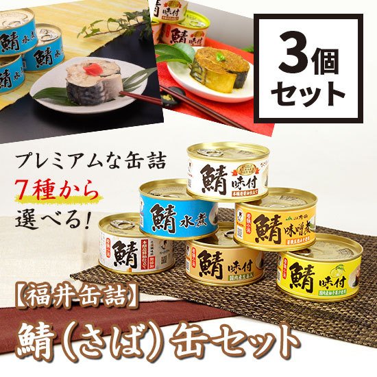 福井缶詰 7種類から選べる！鯖さば缶3個セット 鯖缶 マーメイド印