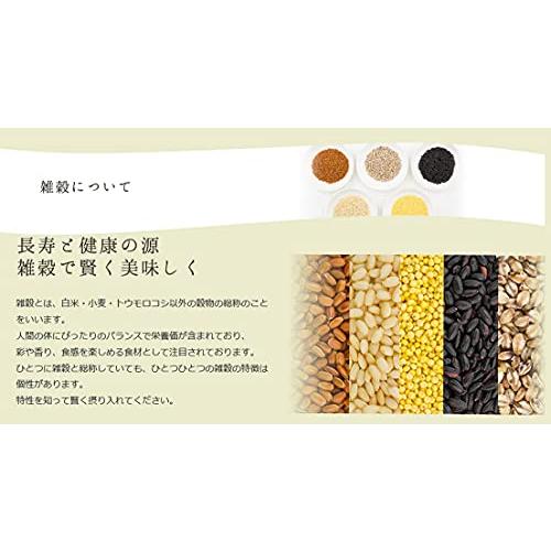 CEREALS NOODLE 雑穀物語 雑穀パスタ 国産 (玄米, 600g 6人前)