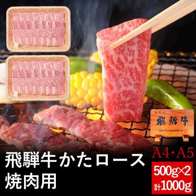 ふるさと納税 可児市 飛騨牛 肩ロース肉 焼肉用 1kg (500g×2パック)