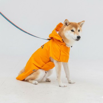 韓國 ppuya 都會犬 絢彩機能雨衣-南瓜橘