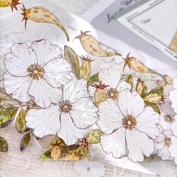 MS0002 金櫻子Kim Sakurako金桜子 / 紙膠帶 Masking Tap