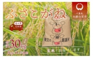 ＜6ヶ月定期便＞千葉県産「ふさこがね」玄米5kg×6ヶ月連続 計30kg ふるさと納税 玄米 定期便 5kg ふさこがね 千葉県 大網白里市 送料無料