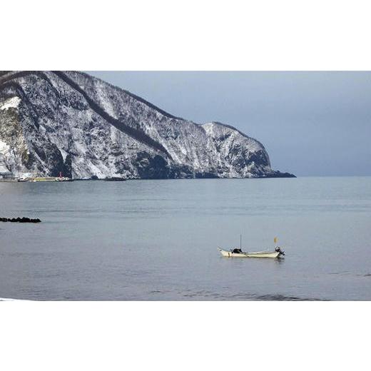 ふるさと納税 北海道 増毛町 5-040-002　北海道増毛産天然蝦夷あわび1kg（8〜12玉）