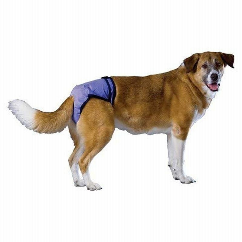 米国 プーチパッド プーチパンツ Xl 大型犬用 洗えるオムツ オムツカバー経済的 ペットシーツ 洗えるおむつ ペット用おむつ 犬用おむ 通販 Lineポイント最大0 5 Get Lineショッピング