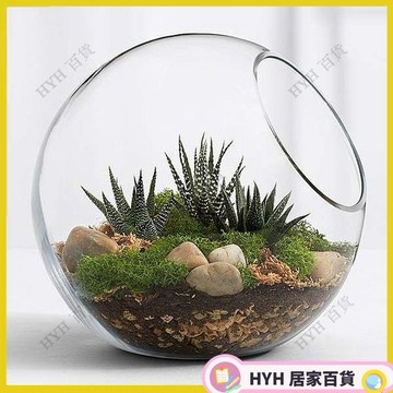 HYH 免運 花瓶 微景觀 斜口玻璃瓶 苔蘚多肉微景觀DIY造景生態瓶微景觀54