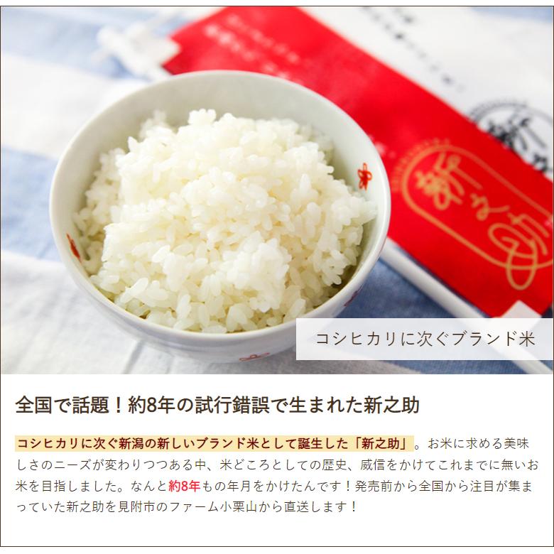 特別栽培米（減農薬・減化学肥料）新潟産 新之助 精米2kg ファーム小栗山 送料無料