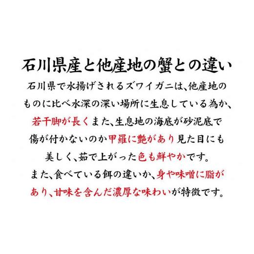 ふるさと納税 石川県 加賀市 石川県産 加能かに／ズワイガニ 産地証明タグ付 大サイズ 2匹   香箱かに 5匹 詰合せ 3〜5人前