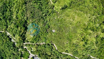 獨家@中寮泡麵土地公附近2.4甲農地(買地送屋)｜南投縣中寮鄉分水寮段