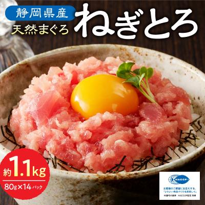 ふるさと納税 焼津市 焼津の天然まぐろたたき ねぎとろ キハダマグロメバチマグロのみ使用 F6(a10-950)