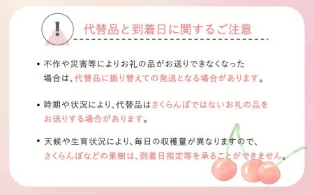 先行予約 さくらんぼ 佐藤錦 秀Mサイズ バラ詰め 1.2kg(600g×2箱) 2024年産 令和6年産 山形県産 ns-snsmb1200