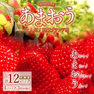 あまおう 約270g 4パック×3回 計12パック_Fi301_定期便 3回 いちご あまおう 約270g×4パック × 3回 計12パック 果物 フルーツ ストロべリー 福岡県 九州 お取り寄せ 2024年1月より順次発送 おやつ スイーツ パフェ ショートケーキ パンケーキ スムージー ジャム お菓子作り 送料無料