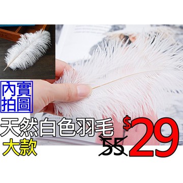 台灣現貨免等天然羽毛拍攝背景白色羽毛擺件裝飾拍照道具ig美拍雜貨小物zakka飾品化妝品保養