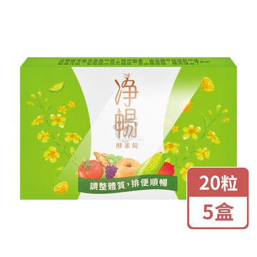【大漢酵素】淨暢酵素錠 20粒/5盒 (綜合消化酵素.鳳梨酵素)