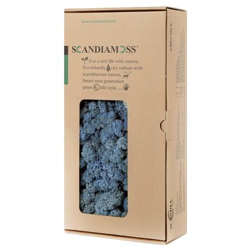 Scandiamoss 薰衣草藍苔蘚 RM500 500g  1個