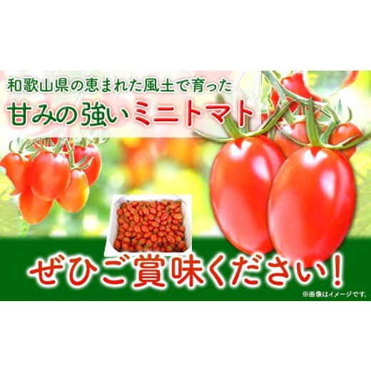 ふるさと納税 和歌山県 日高町 トマト ミニトマト ミニトマト アイコ 約 2kg 株式会社 はし長《12月中旬-7月上旬頃より発送予定(土日祝除く)》和歌山県 日…