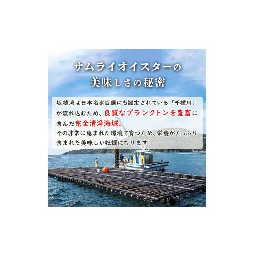 ふるさと納税 兵庫県 赤穂市 牡蠣 定期便 生食 坂越かき むき身 500g×1、 殻付き 12個(牡蠣ナイフ・軍手付き)2ヵ月連続お届け 生牡蠣 冬牡蠣