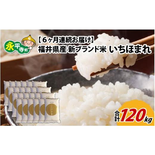 ふるさと納税 福井県 永平寺町 令和5年度産 福井県産新ブランド米 いちほまれ 20kg（5kg×4袋）×6ヶ月（計120kg） [L-002039]