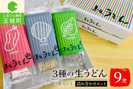 贈答用オリジナル箱入り 3種の生うどん(3食入り×3箱)